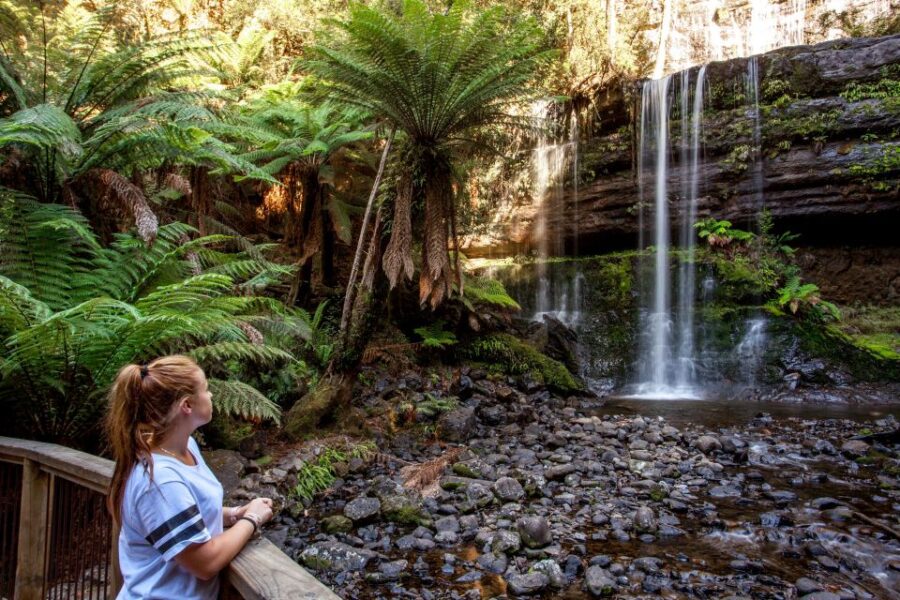 From Hobart: Mt. Field, Mt. Wellington and Wildlife Day Tour - Tour Overview
