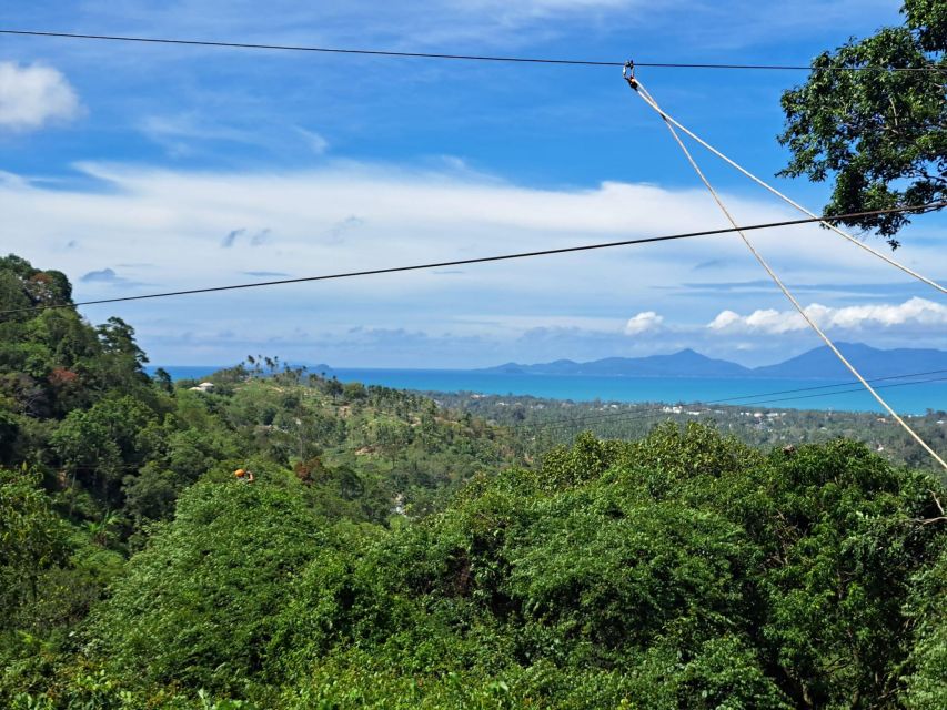 From Koh Samui: Tree Bridge Zipline and Café Experience