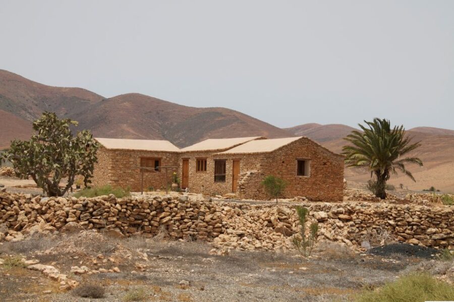 From Lanzarote: Fuerteventura Day Trip - Scenic Cruise to Fuerteventura