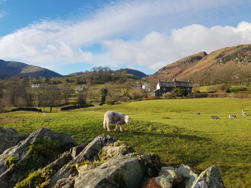 From Liverpool: Lake District Tour With Lake Cruise & Train