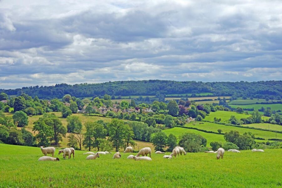 from-london-small-group-stonehenge-bath-cotswolds-tour-tour-options-and-pickup
