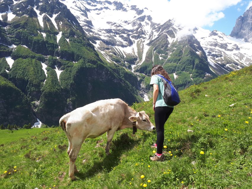 From Lucerne: The Heart of Swiss Alps Private Guided Hike - Meeting Point and Transportation