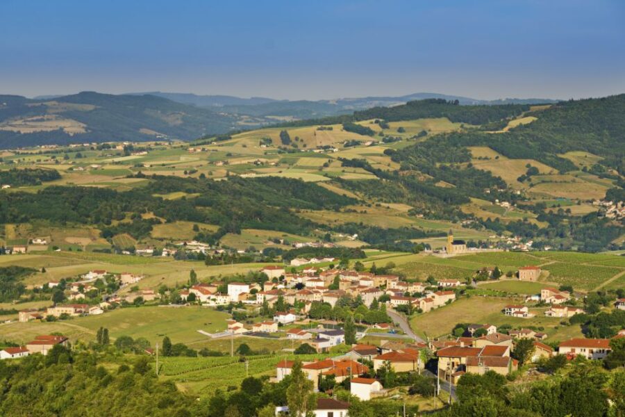 From Lyon: Beaujolais Wine Tasting Day Tour - Tour Details