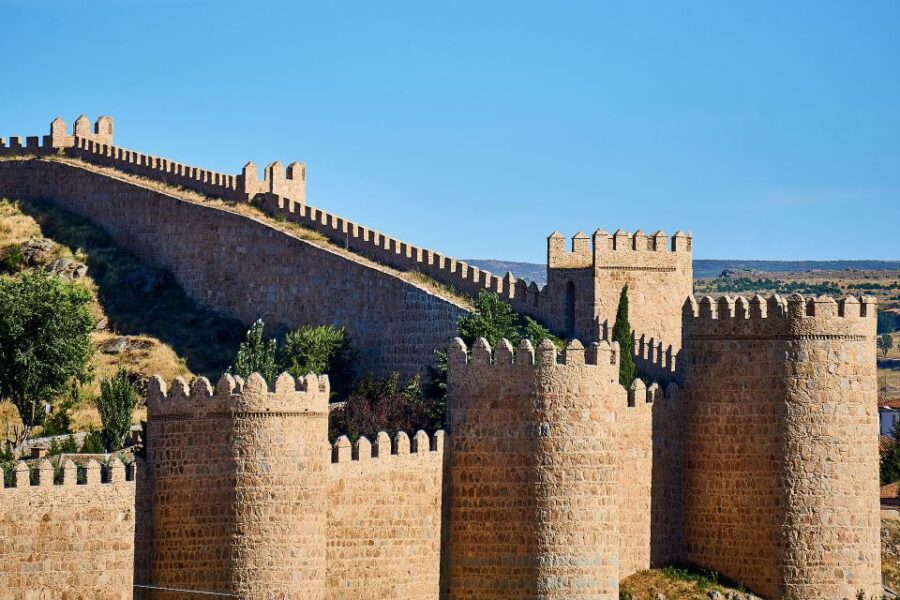 From Madrid: Avila and Segovia Private Day Trip - Trip Details