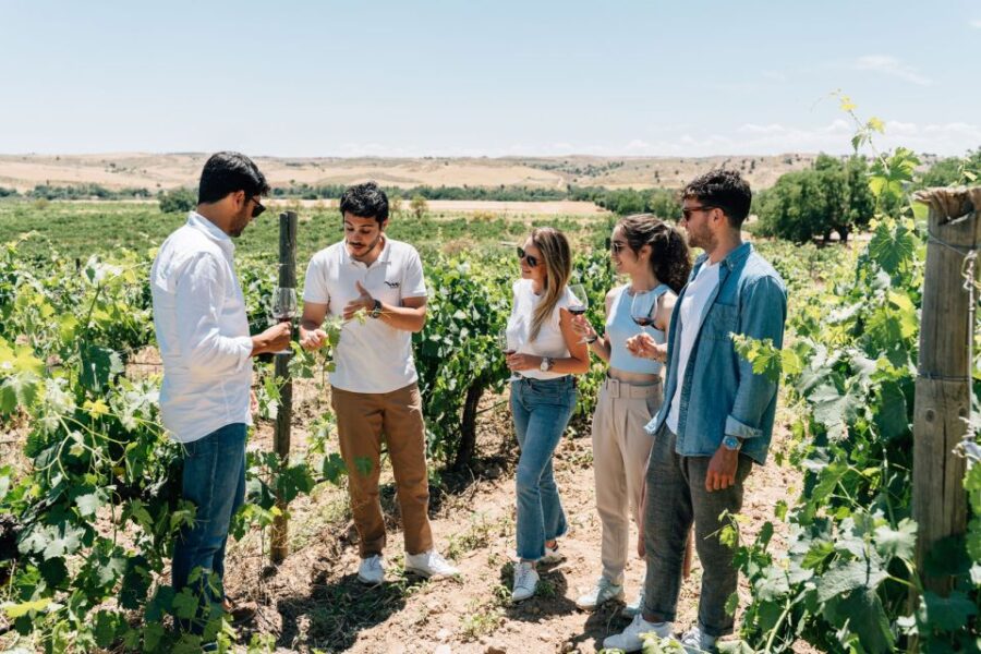 From Madrid: Toledo City Tour and Wine Tasting Experience - Escape the Hustle and Bustle