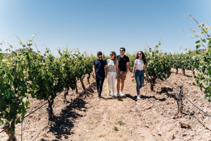 From Malaga: Ronda & Winery Experience With Wine Tasting - Overview of the Trip