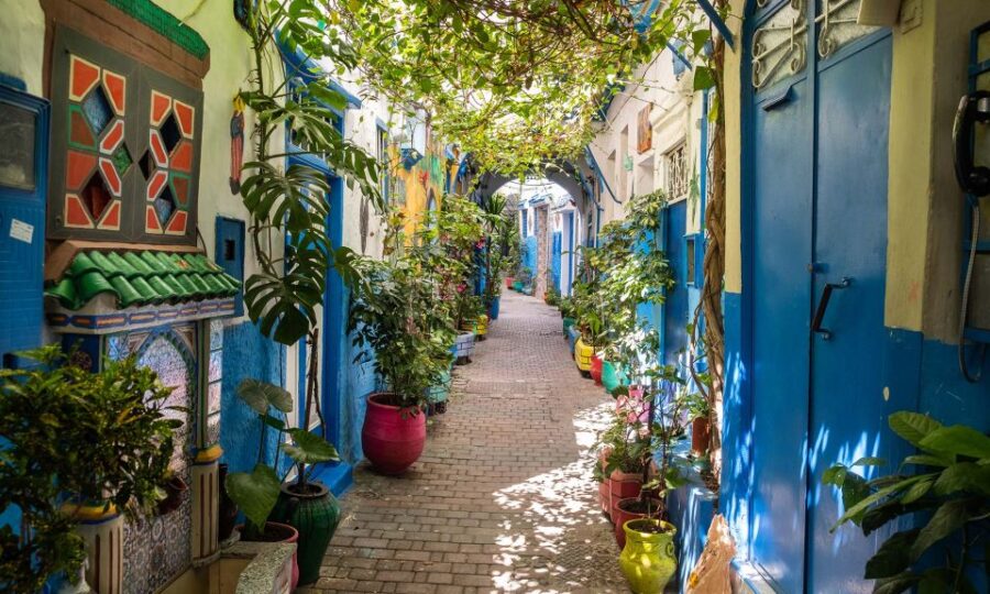 From Malaga: Tangier Private Day Trip With Ferry Tickets - Trip Details and Inclusions