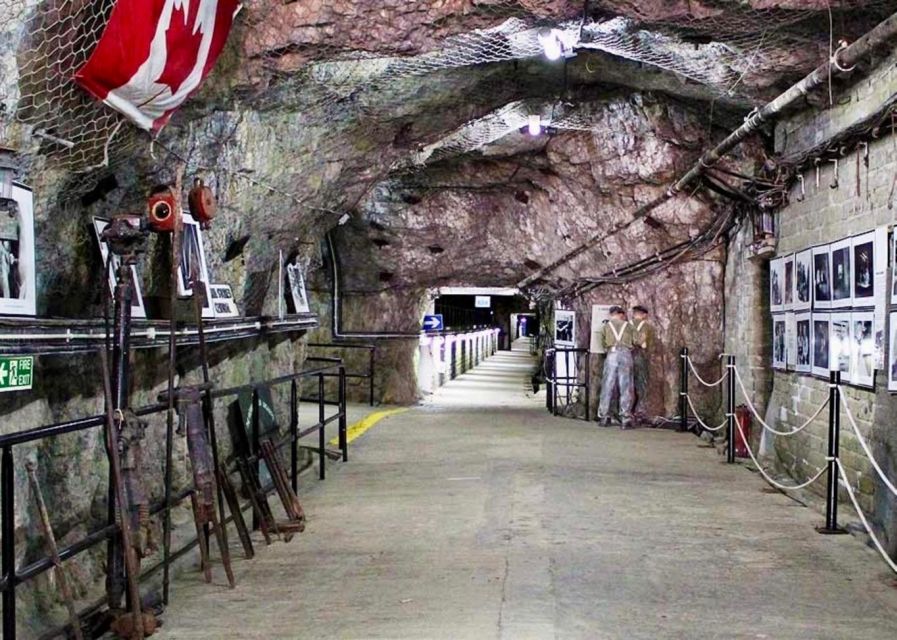 From Málaga/Torremolinos/Benalmádena: Day Trip to Gibraltar - Exploring Gibraltars Natural Wonders