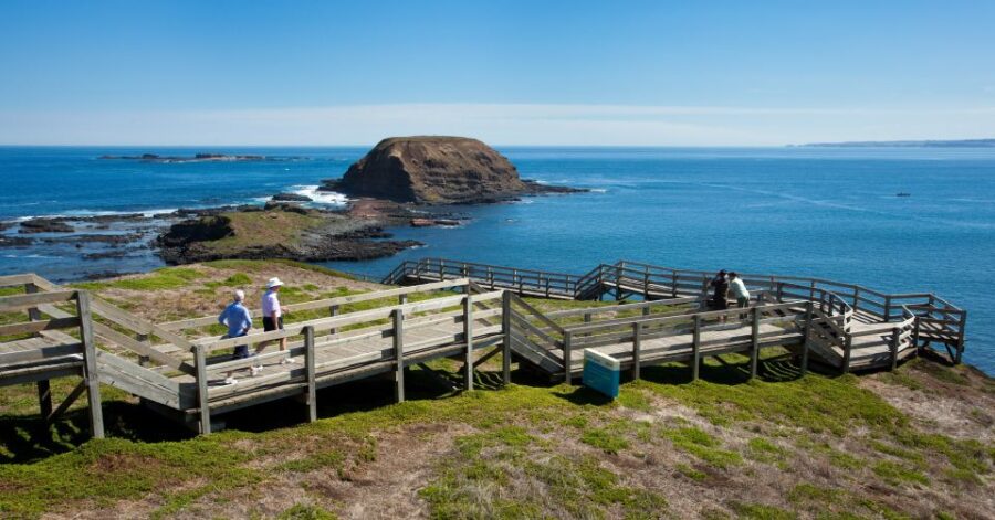 From Melbourne: Phillip Island Penguin Parade Express Trip - Tour Overview