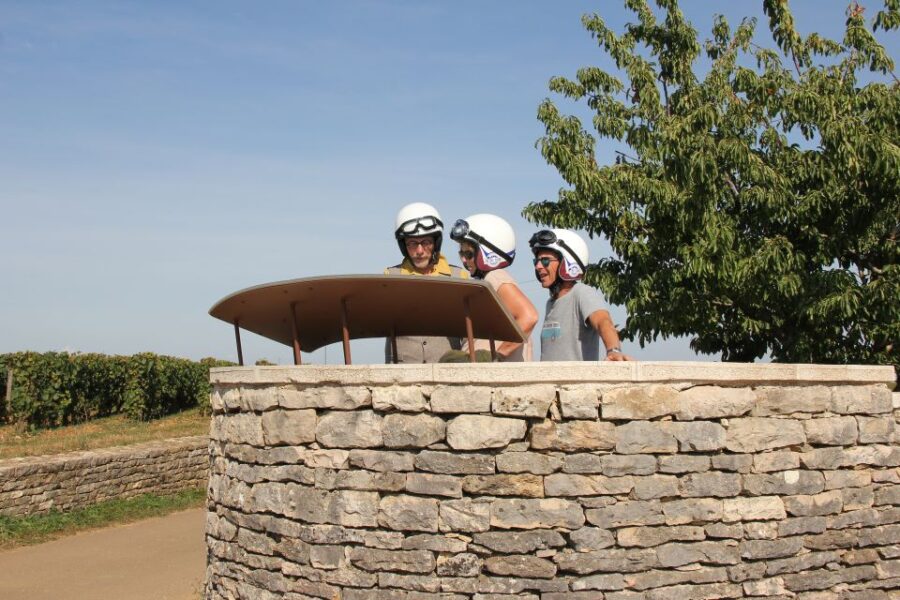 from-meursault-private-sidecar-tour-vineyard-wine-tasting-activity-details