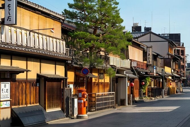 From Osaka: 10-hour Private Custom Tour To Kyoto