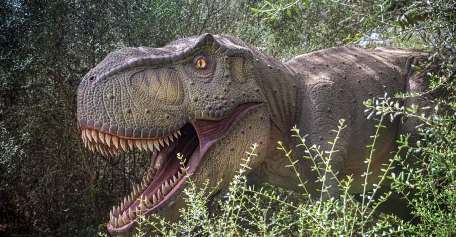 From Palma De Mallorca: Dinosaurland Tour