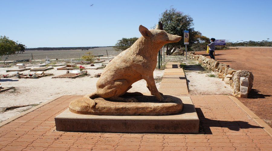 From Perth: Wave Rock and York Cultural Tour With a Guide