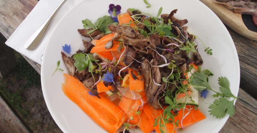From Picton: Private Wine and Gourmet Tour of Marlborough