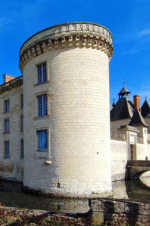 from-poitiers-private-visit-to-the-castle-of-dissay-discover-the-castle-of-dissay