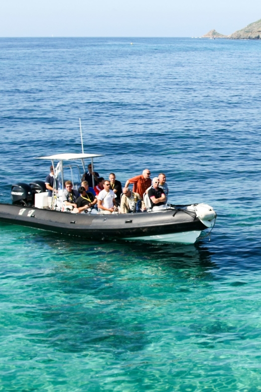 From Porto: Scandola and Calanche De Piana Boat Tour
