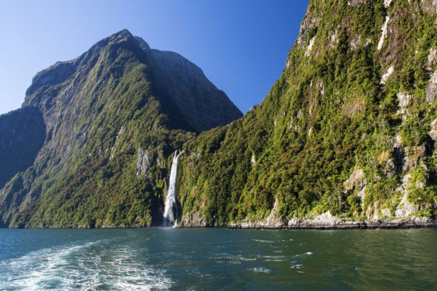 From Queenstown: Milford Sound Full-Day Tour With Lunch - Tour Overview and Pricing