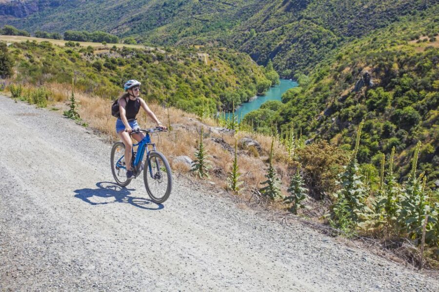 From Queenstown: Valley of the Vines Wine and Bike Tour - Tour Overview