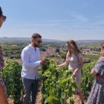 from-reims-full-day-champagne-mumm-family-growers-lunch-tour-overview