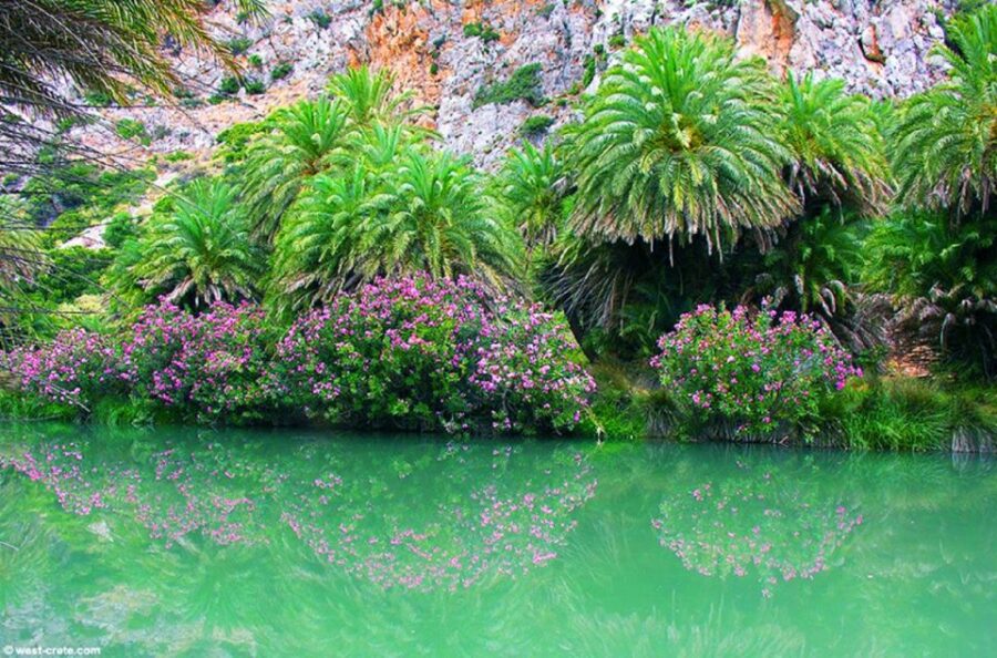 From Rethymno/Chania: Day Trip to Preveli Palm Beach - Overview of the Day Trip