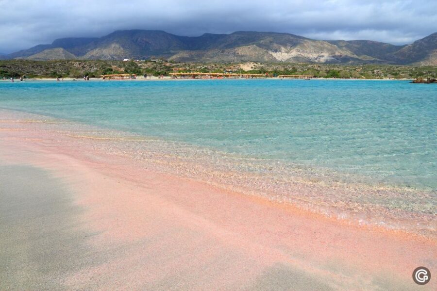 From Rethymno: Day Trip to Elafonisi Island Pink Sand Beach - Trip Overview