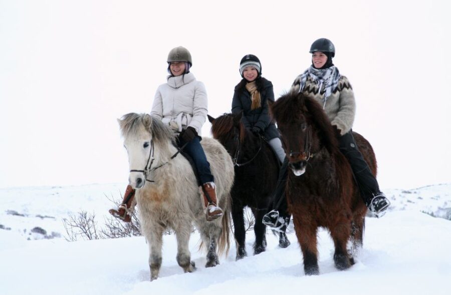 From Reykjavík: Icelandic Horse Riding Tour in Lava Fields - Tour Overview