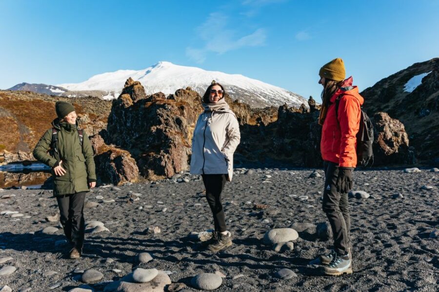 From Reykjavik: Snæfellsnes Peninsula Full-Day Tour - Tour Overview and Pricing