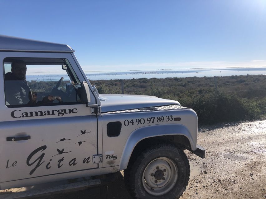 From Saintes Maries De La Mer: Safari and Canoeing