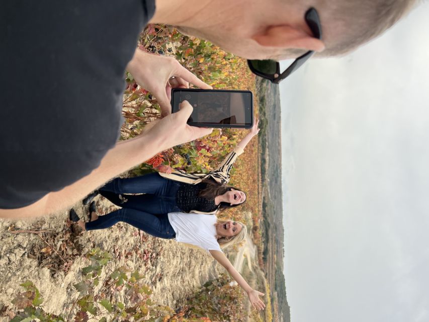 From San Sebastian: Rioja Private Day Trip With Wine Tasting - Tour Overview