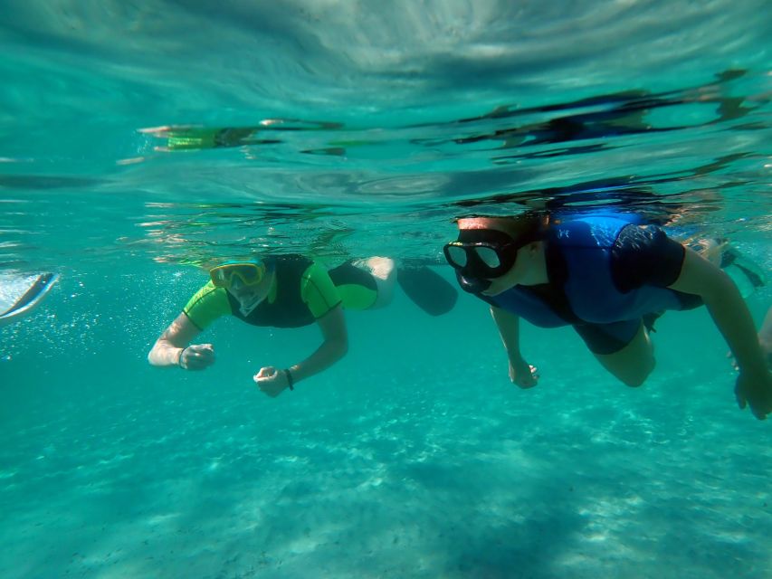 From Santa Pola: Snorkel Trip in Tabarca Island