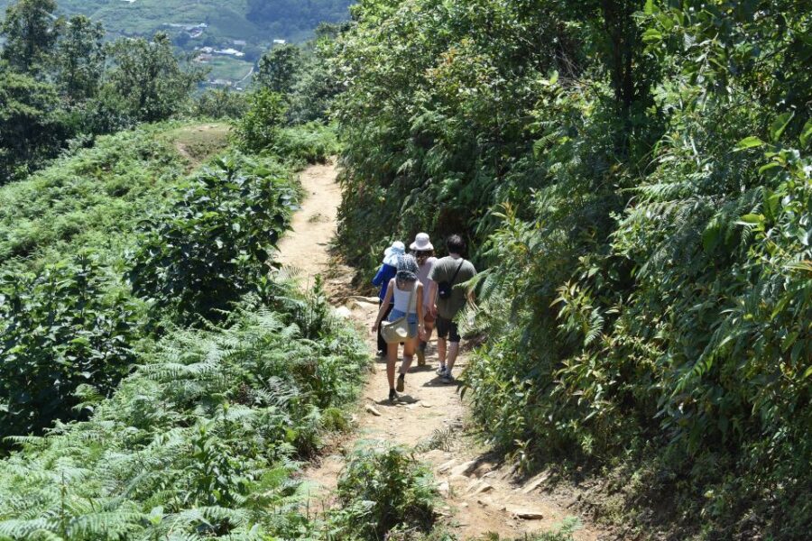 From Sapa: Muong Hoa Valley View & Village Trek 1-Day - Tour Overview