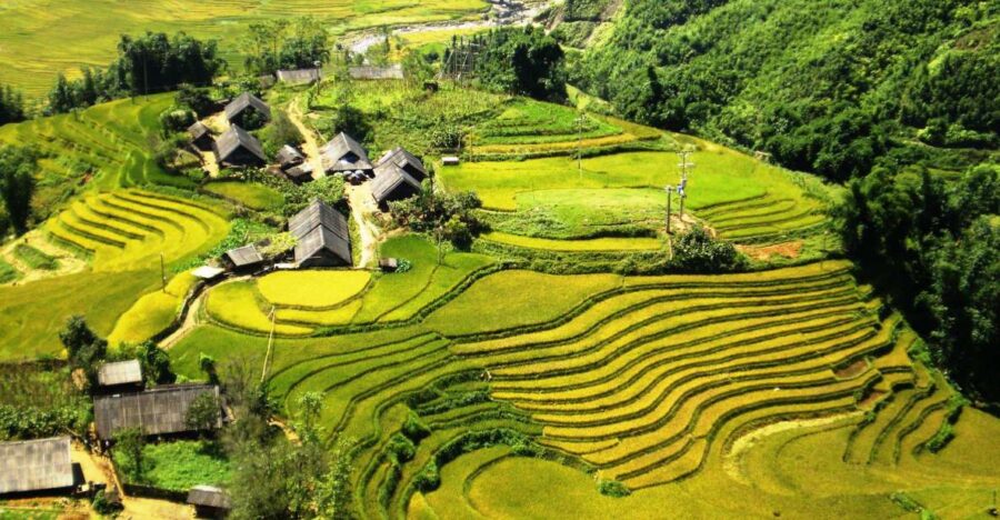 From Sapa: Terrace Fields and Local Villages Trek With Lunch - Trek Overview