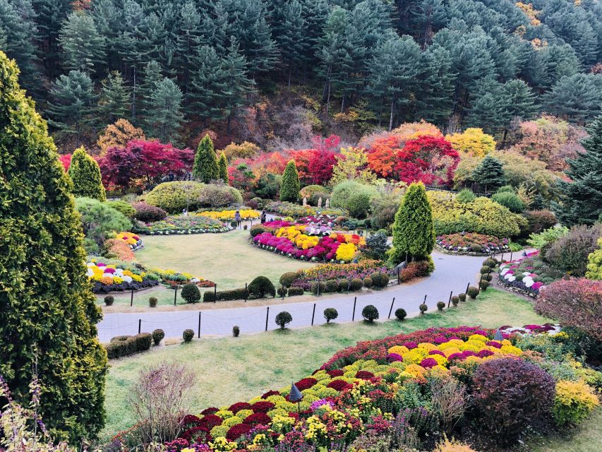 From Seoul: Mt. Seorak, Nami Island and Garden of Morning Calm Tour