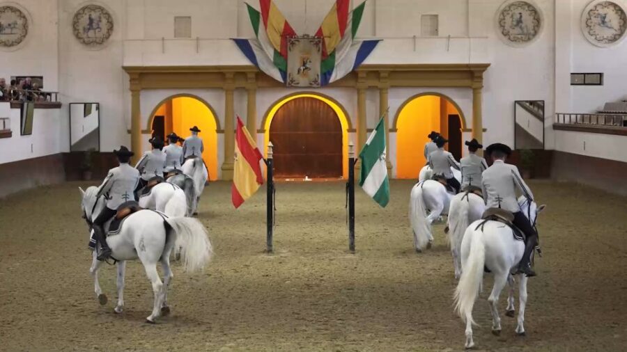 From Seville: Jerez, Cádiz and Andalusian Horses - Seville to Jerez Transfer