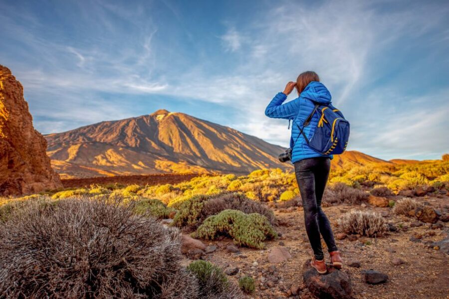 From South Tenerife: Mount Teide Hiking Day Trip & Cable Car - Activity Overview