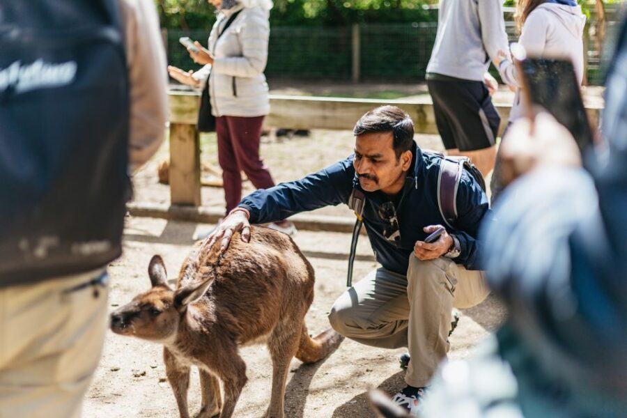 From Sydney: Blue Mountains Full-Day Trip - Exploring Featherdale Wildlife Park