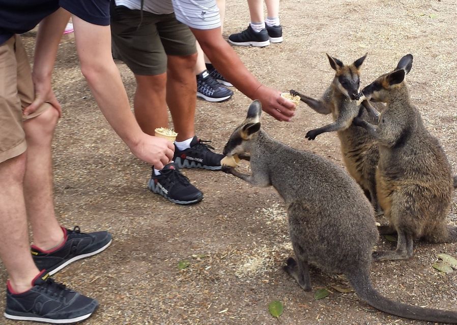 from-sydney-boutique-uncharted-blue-mountains-tour-tour-duration-and-details