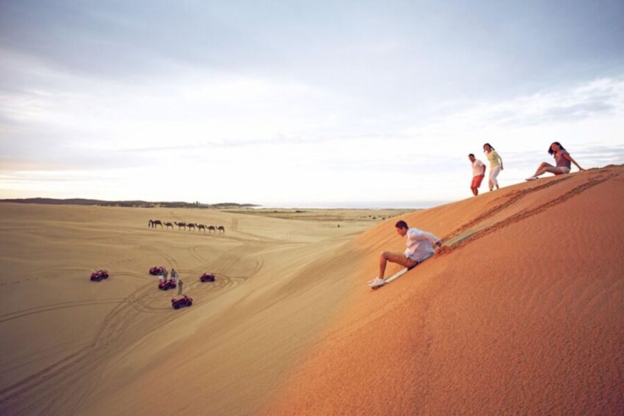 From Sydney: Port Stephens Dolphin Cruise & 4WD Sandboarding