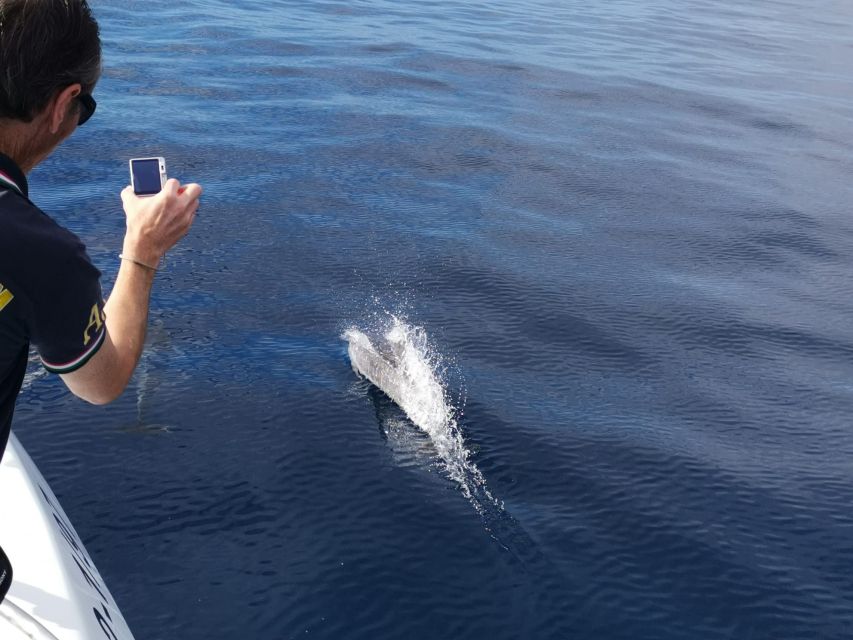From Tazacorte: Fast Yacht Tour of La Palma