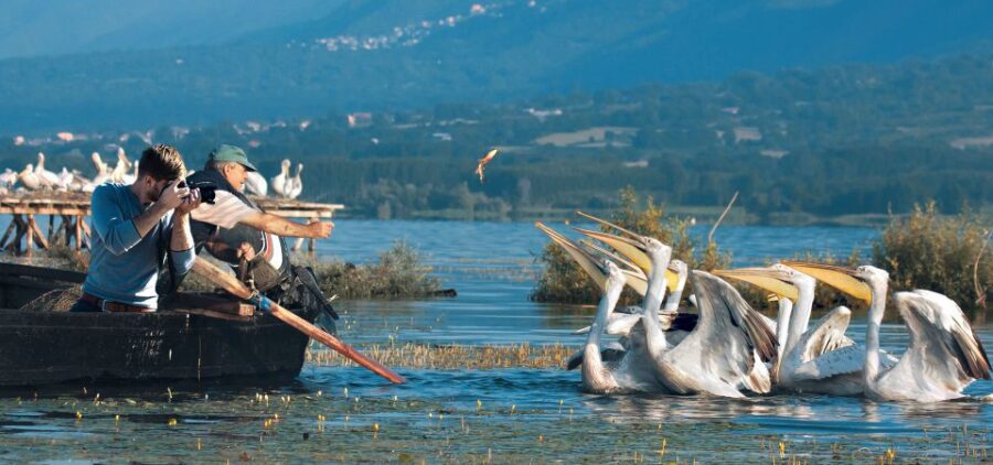 from-thessaloniki-private-day-trip-to-kerkini-lake-overview-of-kerkini-lake