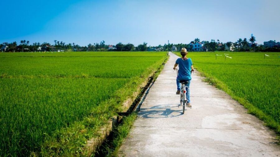 From Tien Sa Port: Da Nang and Hoi An Private Day Tour - Tour Highlights