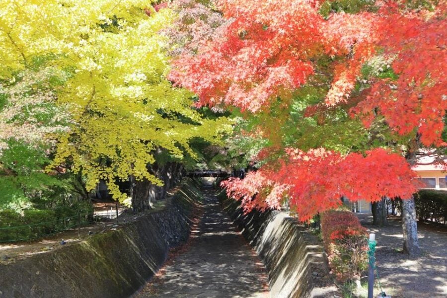 from-tokyo-hakone-owakudani-lake-kawaguchi-day-tour-tour-details