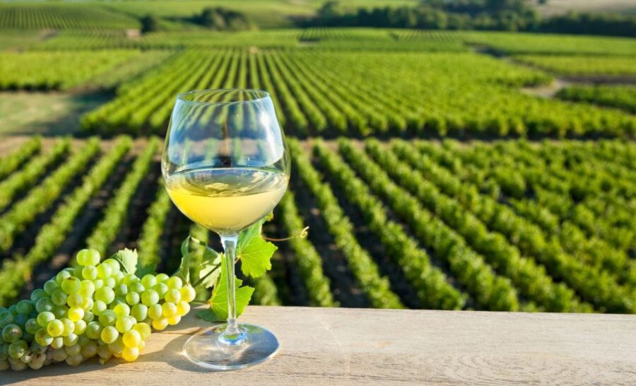 from-tours-loire-valley-wineries-day-trip-with-tastings-tour-overview