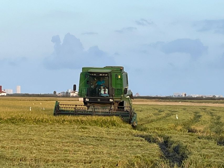 From Valencia: Albufera Day Trip With Boat Tour and Transfer - Overview of the Albufera Day Trip