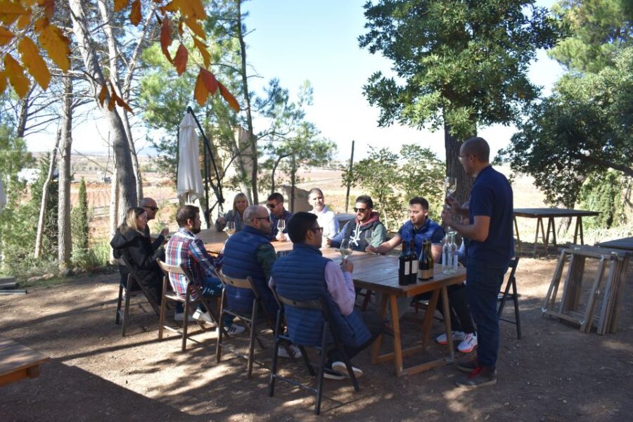 From Valencia: Guided Cheese Factory Tour With Wine Tasting - Tour Overview