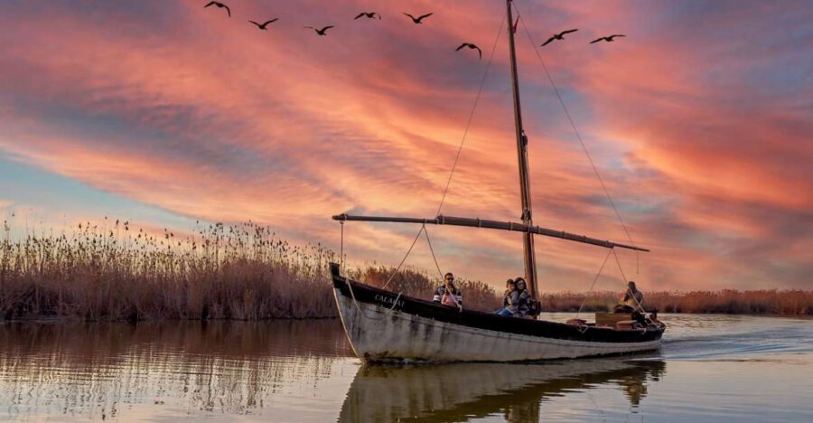 From Valencia: Private Albufera Van Tour With Boat Ride - Tour Overview
