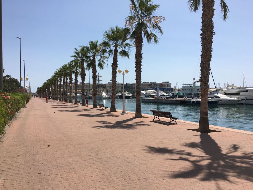 From Valencia: Private Day Trip to Alicante With Local Guide - Tour Overview