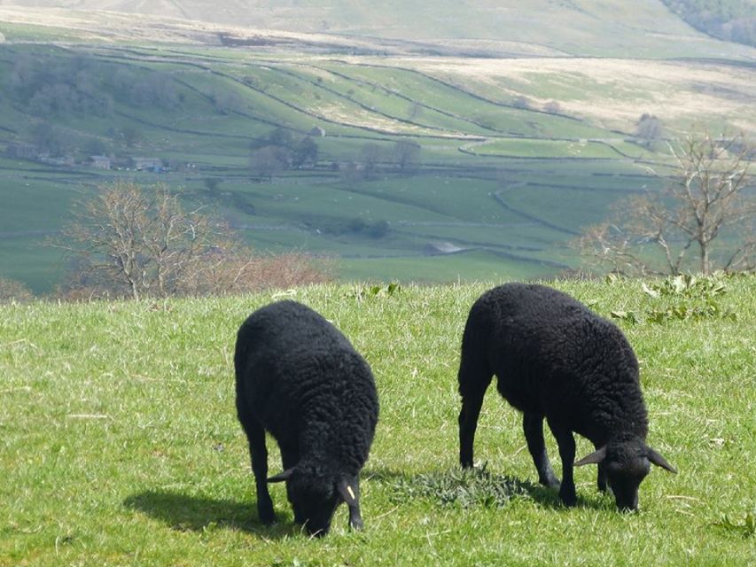 from-york-full-day-yorkshire-dales-tour-tour-overview