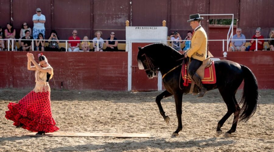 fuengirola-spanish-horse-show-with-optional-dinner-flamenco-overview-and-activities