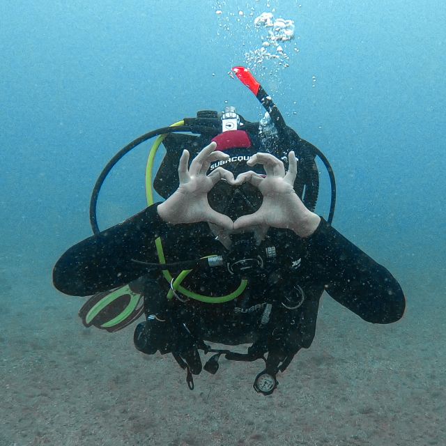 fuerteventura-introductory-dive-in-la-lajita-with-pickup-overview-of-the-experience